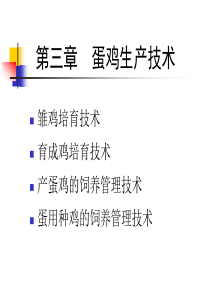 蛋鸡生产技术