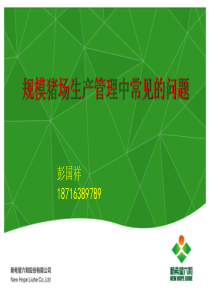 规模猪场生产管理中常见的问题1411