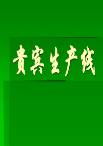 贵宾生产线（PPT40页)