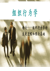 2组织行为学的发展过程和理论基础