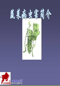 最全蔬菜病虫害