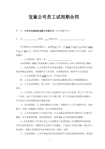宝巢公司试用期员工合同
