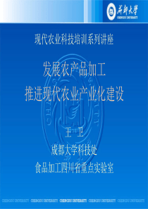 发展农产品加工PPT(20090731)-国家科技评估中心