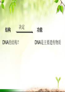 DNA分子的结构(公开课)详解