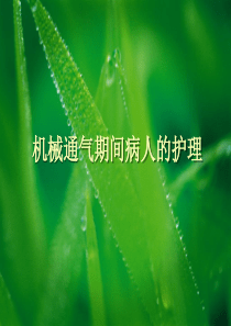 机械通气病人的护理