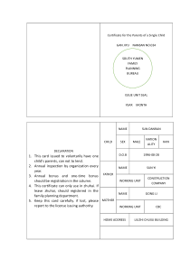 独生子女证翻译