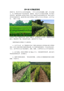 茶叶秋冬施肥管理