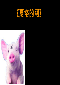 夏洛的网---ppt----最好完美版