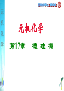 北师大版无机化学课件第十七章