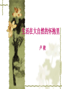 生活在大自然的怀抱里-课件