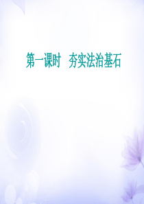 4.1夯实法治基石