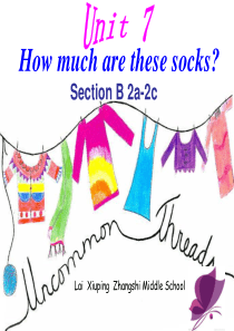 How-much-are-these-socks-sectionB-2a-2b公开课课件