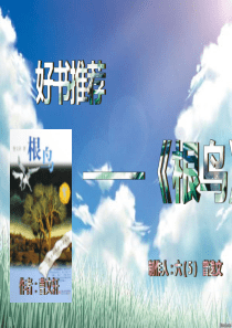 好书推荐——根鸟》