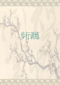 步行训练