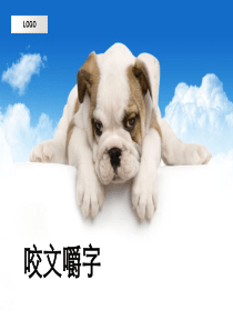 咬文嚼字公开课一等奖PPT