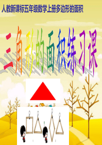 三角形的面积练习课(精心总结)