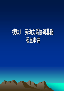 上海市劳动关系协调员(复习串讲)