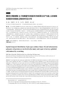 糖原合酶激酶3β和腺瘤性结肠息肉病蛋白在气道上皮细胞机械损伤修复