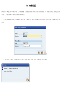 SAPTMS传输配置