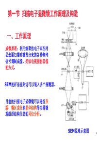 培训资料扫描电镜