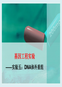 实验6：DNA体外重组..
