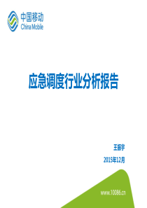 应急调度行业分析报告(-wzy)