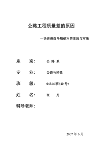 沥青路面裂缝(论文)