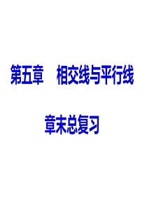 第五章相交线与平行线总复习