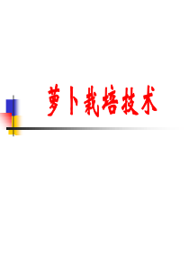 萝卜栽培技术