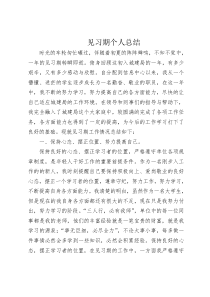 见习期个人总结