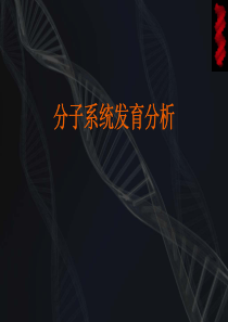 进化树分析