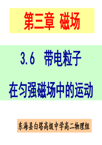 选修3-1-3.6带电粒子在匀强磁场中的运动