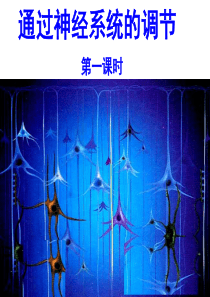 通过神经系统的调节(完整版)