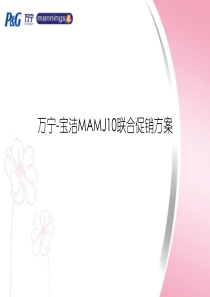 万宁-宝洁3-6月每月10号的联合促销方案(ppt 39) 