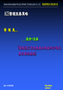 ACE现场管理策略