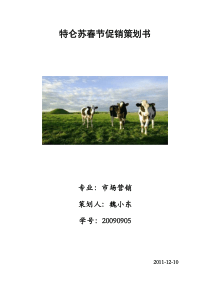 促销作业