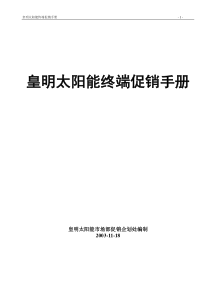 促销指导手册