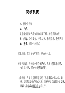 促销队伍(ppt6)