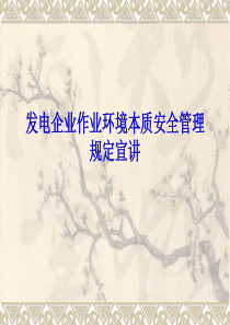 发电企业作业环境本质安全管理规定宣讲