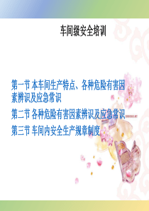 车间级安全培训