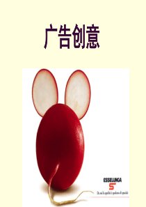 广告创意(65页精品课件)