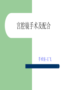 宫腔镜手术(完整版)