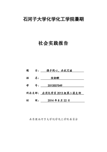 2014年“预防艾滋”暑期社会实践报告