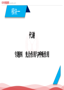 2018年高考生物二轮复习课件：专题4光合作用与呼吸作用