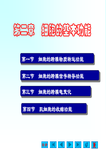 生理学-第二章-细胞的基本功能
