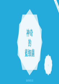 神奇的蓝细菌