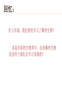 人教版第一节腔肠动物和扁形动物