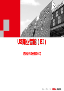 BI商业智能介绍简版