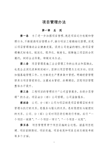 项目管理办法