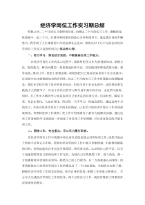 经济学专业实习总结范文